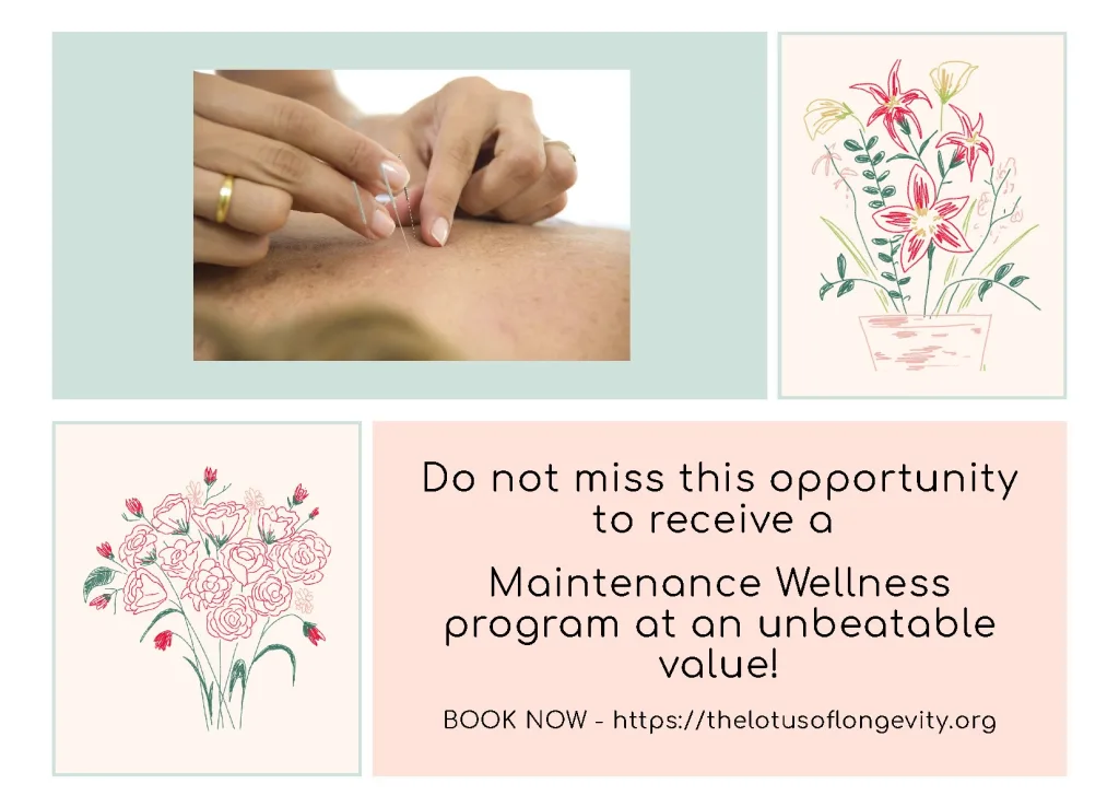 Do not miss this opportunity to receive a Maintenance Wellness program at an unbeatable value!