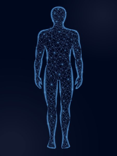 image of human body